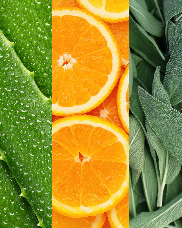 蘆薈鼠尾草橙花噴霧