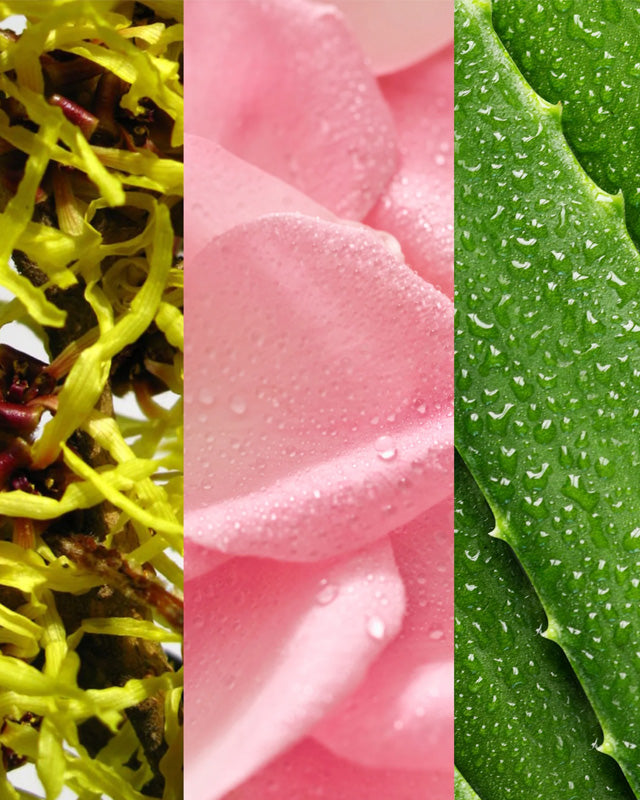 Witch Hazel & Rosewater Toner