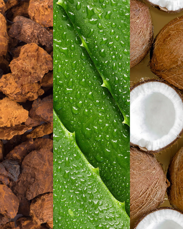 蘆薈適應原椰子水噴霧