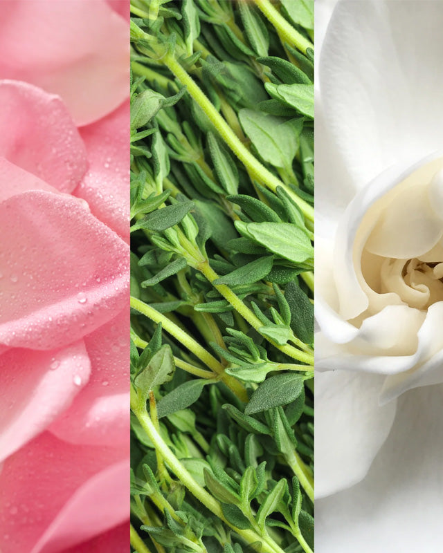 Facial Spray With Aloe, Herbs And Rosewater